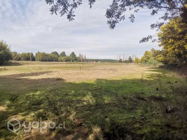 Terreno de 5.000 m2 en Renaico