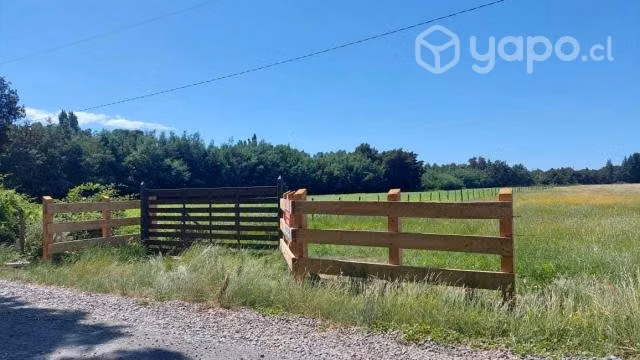 Terreno de 5.000 m2 en Renaico