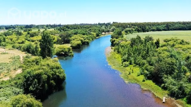 Terreno de 5.000 m2 en Renaico