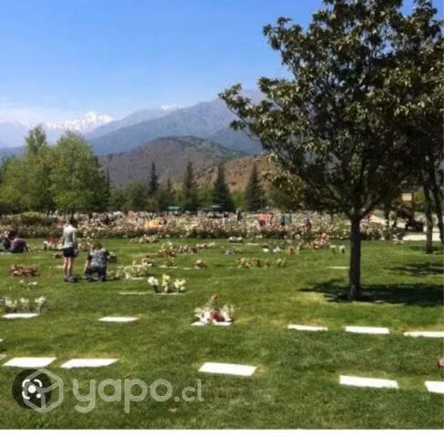 Sepultura, en parque cementerio Sendero,(catemito)