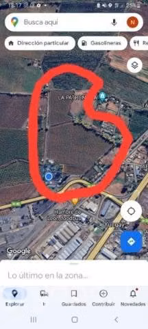 Terreno urbano olivar