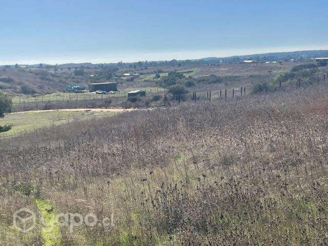 Parc 5000mt2 a 5 minutos del centro de Litueche - Imagen 4