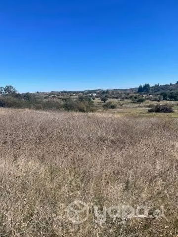 Parc 5000mt2 a 5 minutos del centro de Litueche