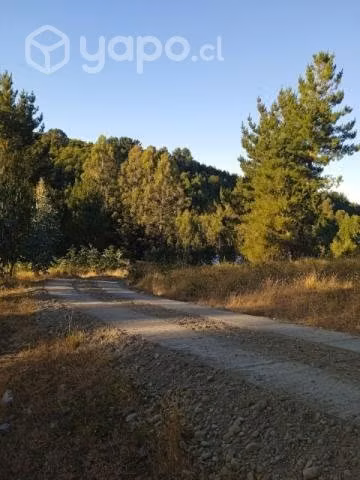 Vendo terreno