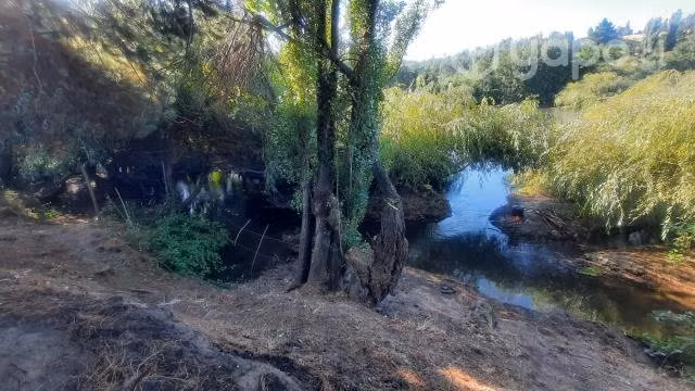 Vendo 9.400 mts/2 con acceso a río