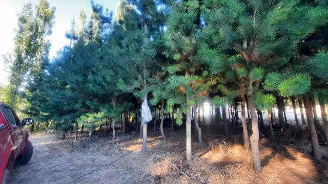 Vendo 9.400 mts/2 con acceso a río