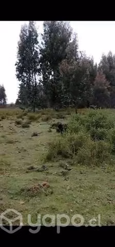 Terreno / Parcela de 26.000 mts2