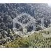 Terreno virgen 5000m2 - Imagen 1