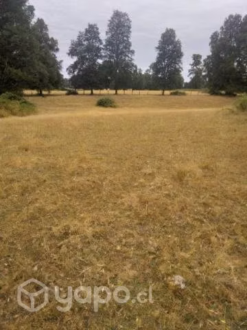 Vendo Campo en Itropulli - Imagen 3