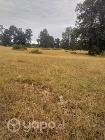 Vendo Campo en Itropulli - Imagen 2