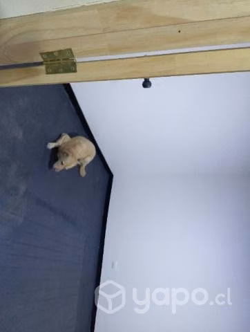Alquiler de habitaciónes Conchalí - Imagen 3