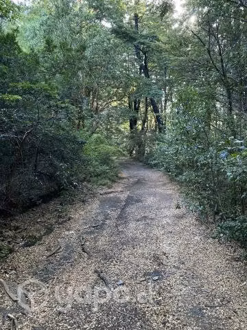 VENDO 5.000 M2 A 8 km del Pucón