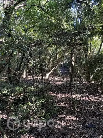 VENDO 5.000 M2 A 8 km del Pucón