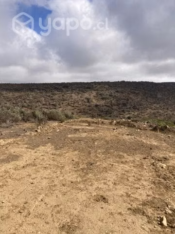 Parcela Terreno Eriazo