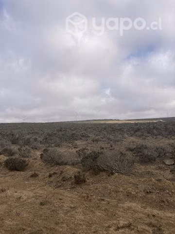Parcela Terreno Eriazo