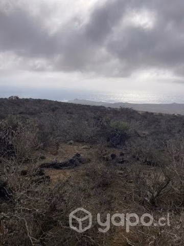 Parcela Terreno Eriazo