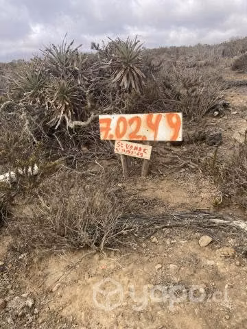 Parcela Terreno Eriazo