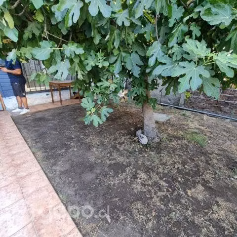Casa - La Florida - Propiedad