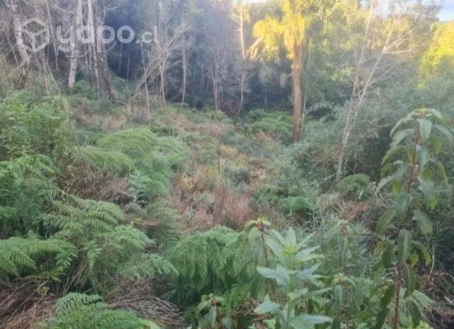 Se vende terreno con casa