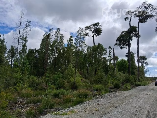 Parcela en Ancud Chiloé 5000m2