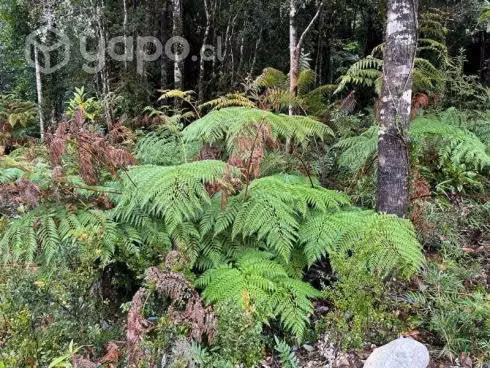 Parcela cercana a puerto varas …