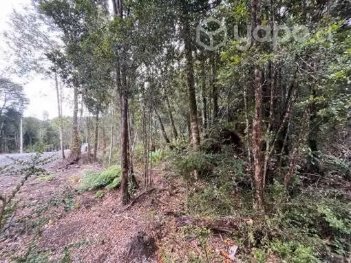Parcela cercana a puerto varas …