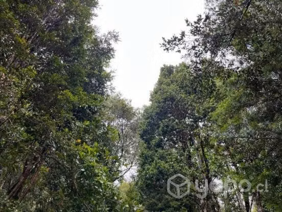Parcela cercana a puerto varas …