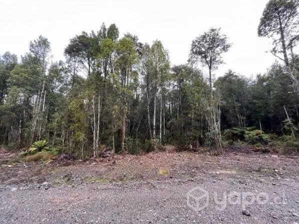 Parcela cercana a puerto varas …