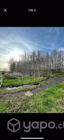 Se vende parcela Una hectárea - Imagen 2