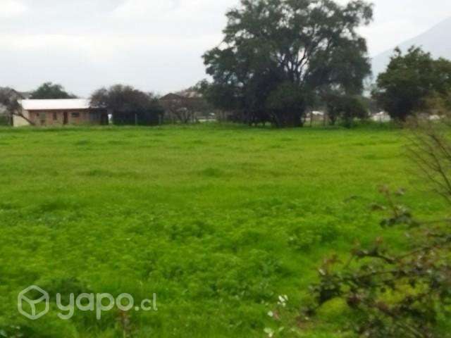 Parcela 5000m2 sector Collahue El Melon - Imagen 8