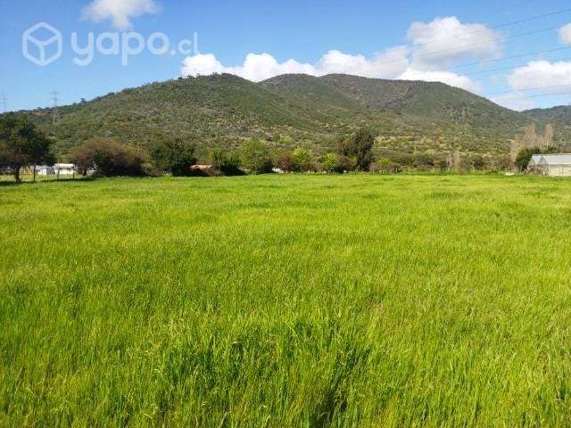 Parcela 5000m2 sector Collahue El Melon - Imagen 2