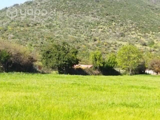 Parcela 5000m2 sector Collahue El Melon - Imagen 3