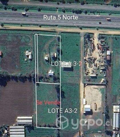Parcela 5000m2 sector Collahue El Melon - Imagen 9