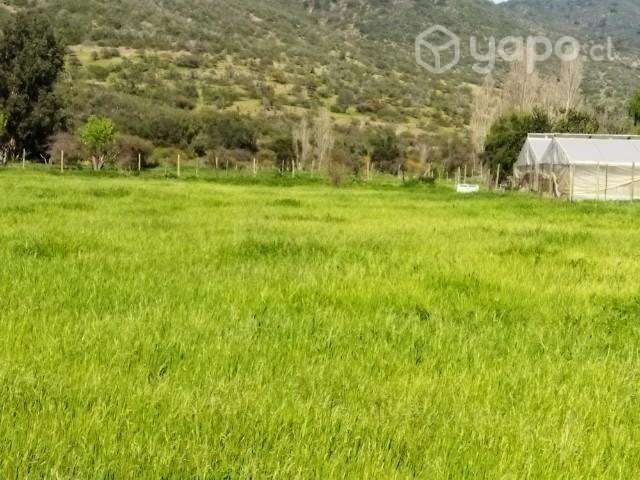 Parcela 5000m2 sector Collahue El Melon - Imagen 4