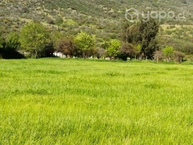 Parcela 5000m2 sector Collahue El Melon - Imagen 5