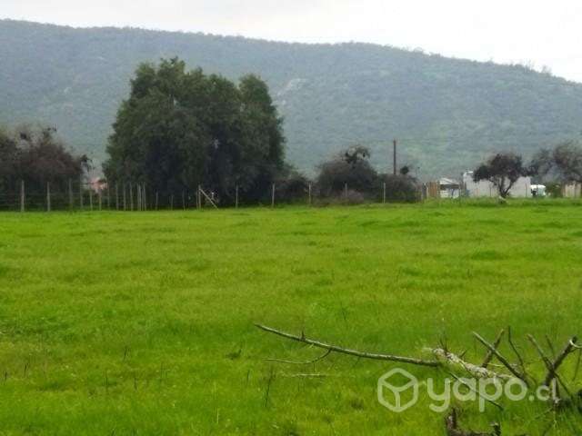 Parcela 5000m2 sector Collahue El Melon - Imagen 7