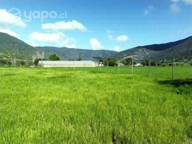 Parcela 5000m2 sector Collahue El Melon - Imagen 6