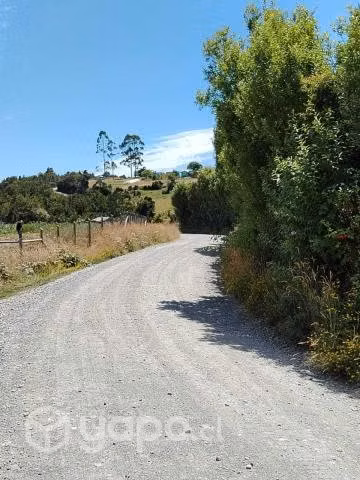 Terreno - Imagen 6