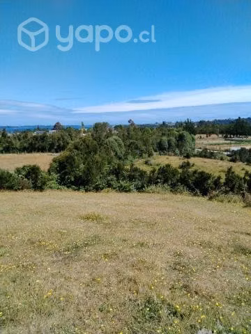 Terreno - Imagen 4