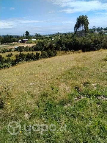 Terreno - Imagen 3