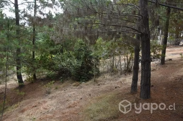 Venta terreno Laguna Verde 610 M2 - Imagen 7