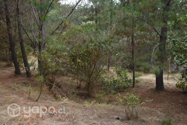 Venta terreno Laguna Verde 610 M2 - Imagen 5