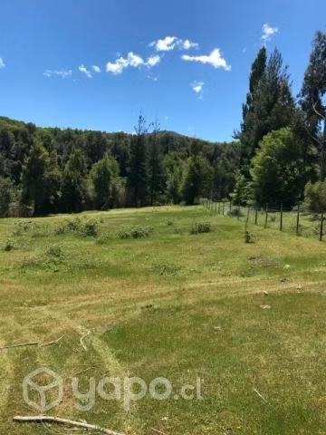Increíble Terreno orilla de rio Diguillin