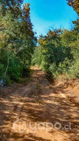 Parcelas Precordillera Potrero Grande Maule Curicó