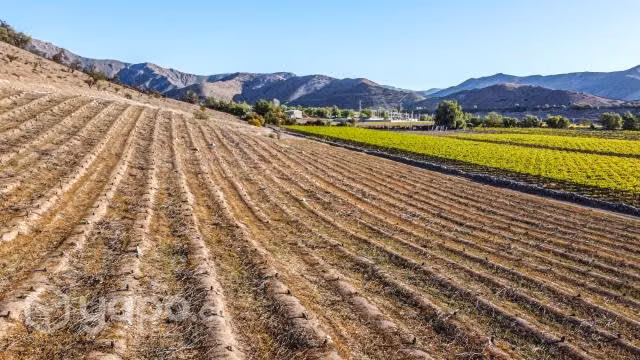Parcela Valle de Elqui-Vicuña