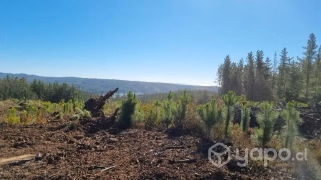 Parcela Pichilemu lago cahuil