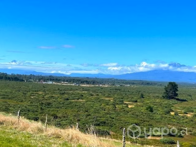 Camino alerce …