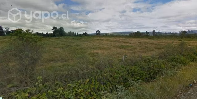Venta de Parcela 5000 m2