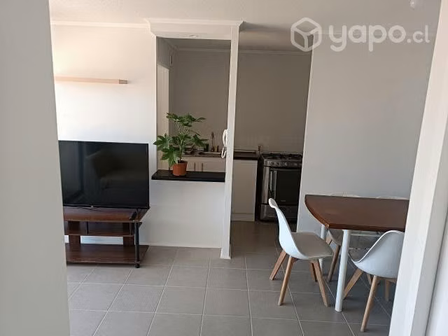 Arriendo dpto con o sin muebles