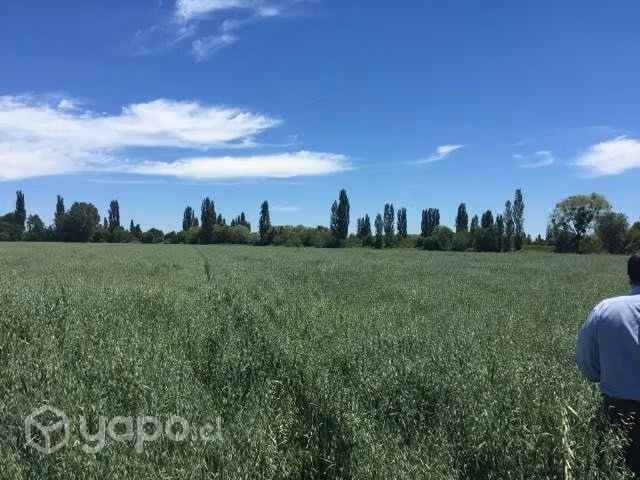 Parcelas Longavi planas - Imagen 4